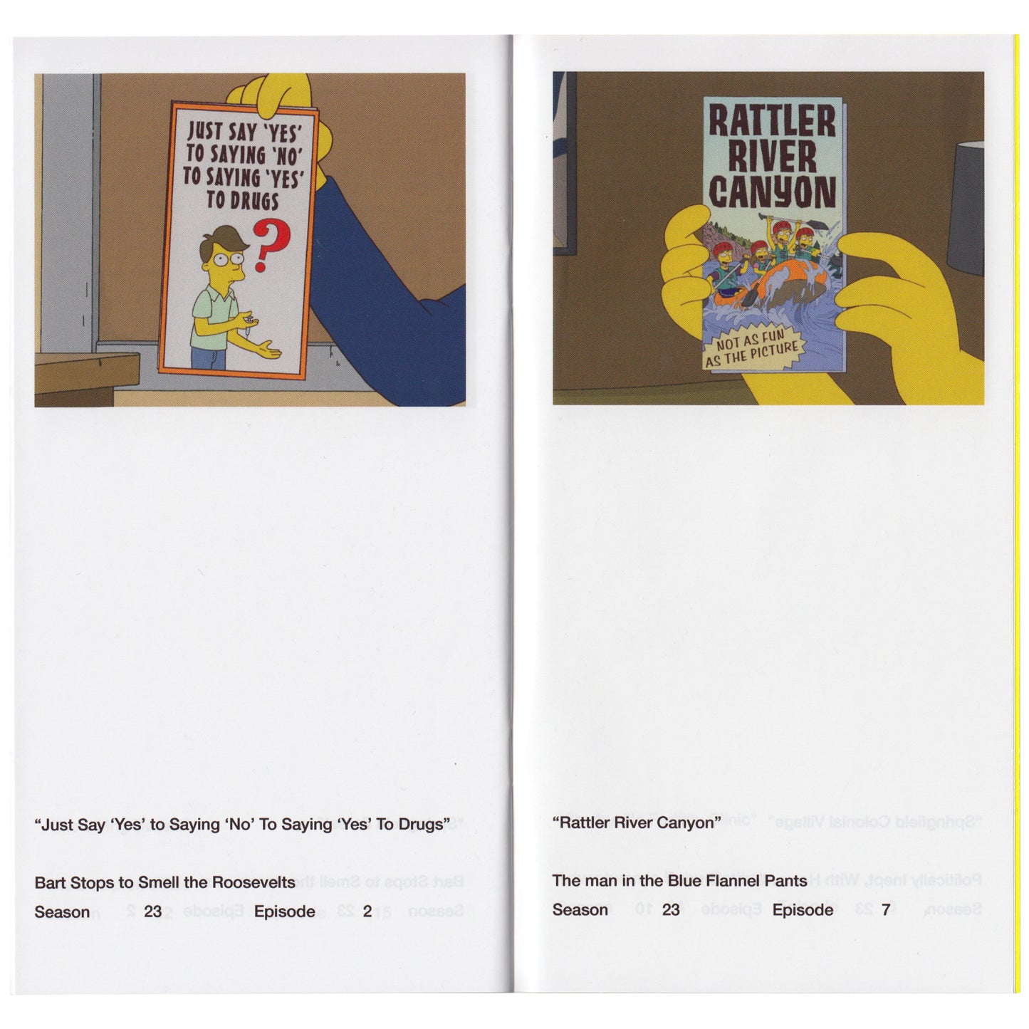 So You've Purchased a Smpsons Pamphlet Zine