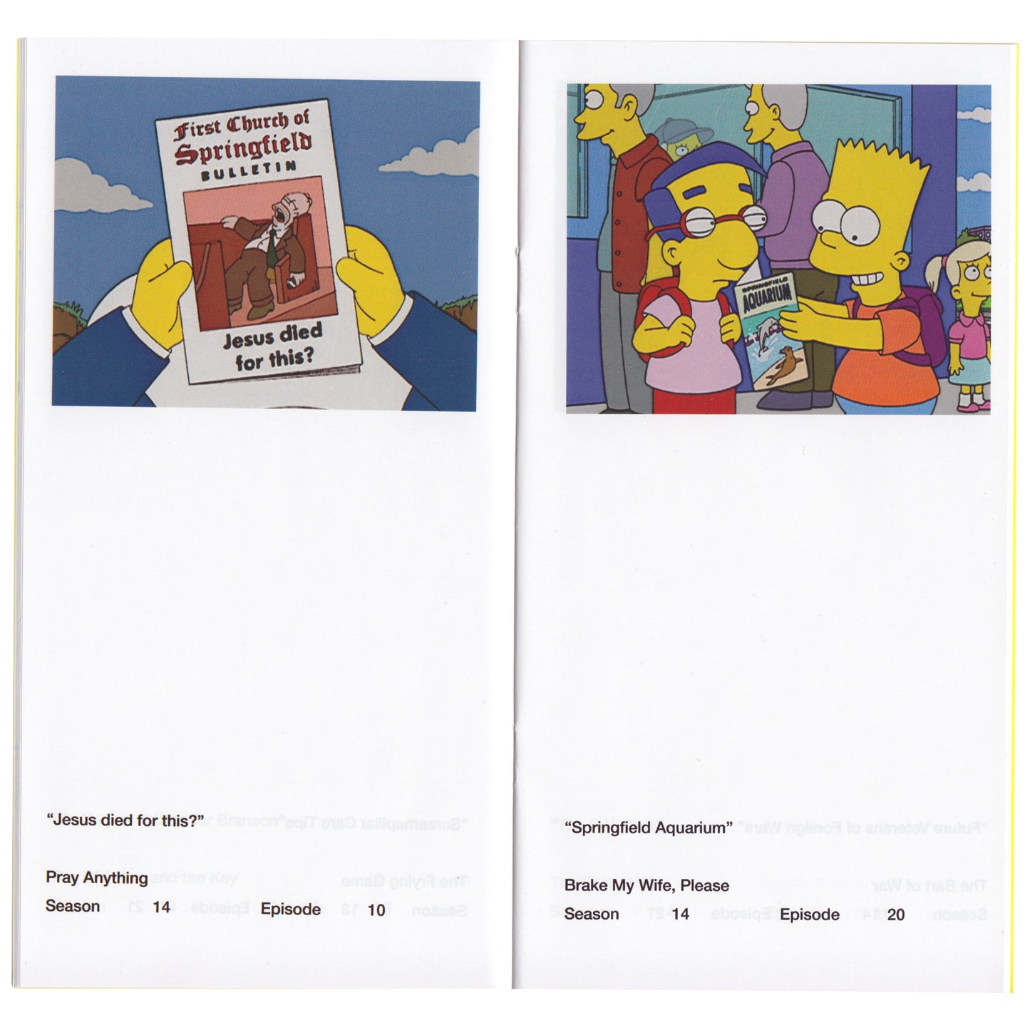 So You've Purchased a Smpsons Pamphlet Zine