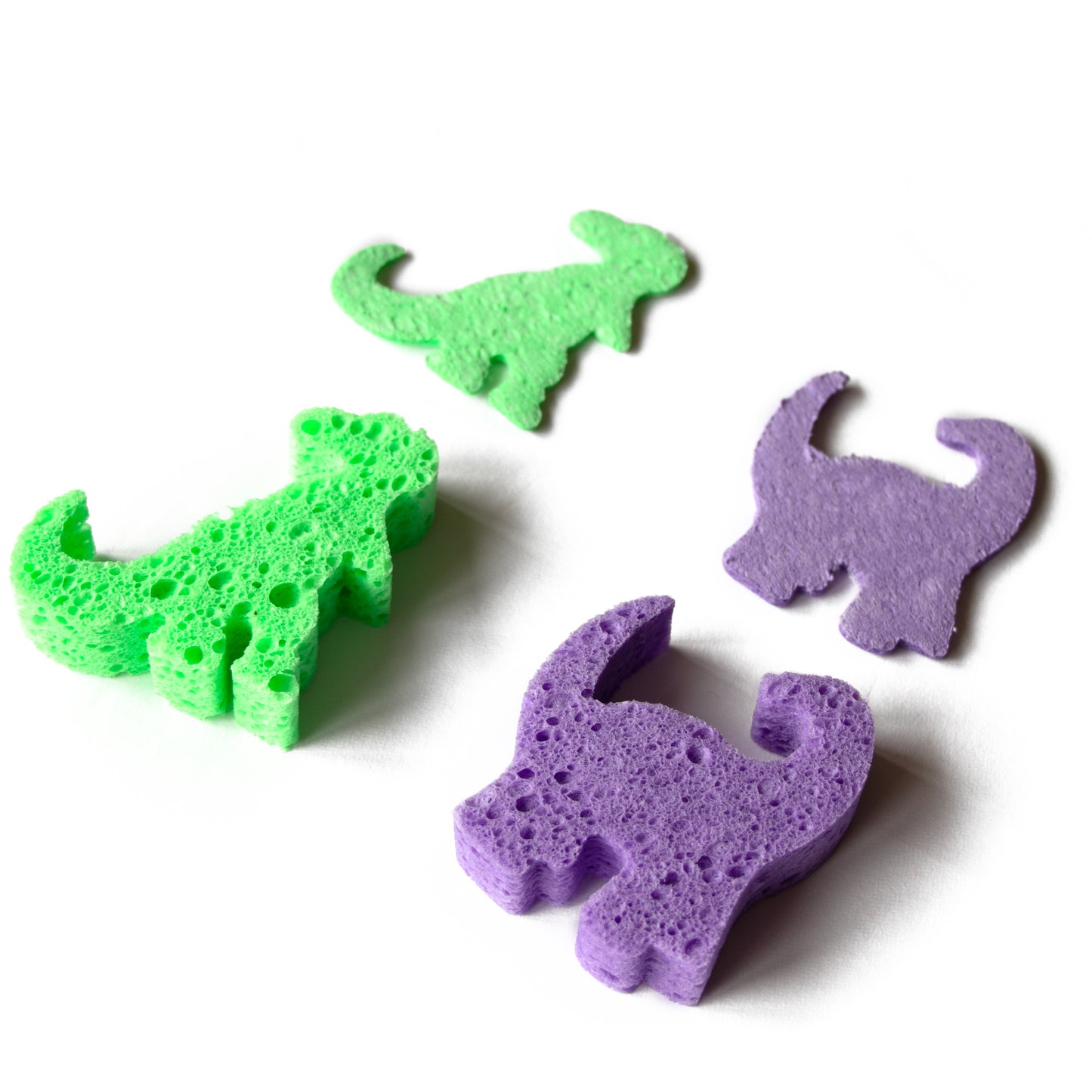 DinoSponges *GROW WHEN WET!*